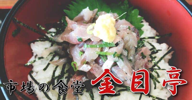 【下田・市場の食堂『金目亭』】人生で食べた中で一番うまいアジのなめろう丼♪〈ちゅんころもちレポート〉